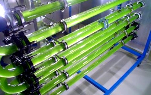 El Biodiésel de Algas o Biodiésel Marino es el único biocombustible capaz de reemplazar al petróleo
