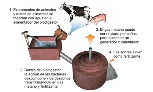 ¿Qué es el biogás? Proceso para generar biogás