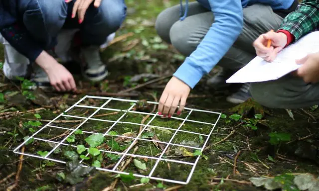 en ecosistemas urbanos, rurales y naturales