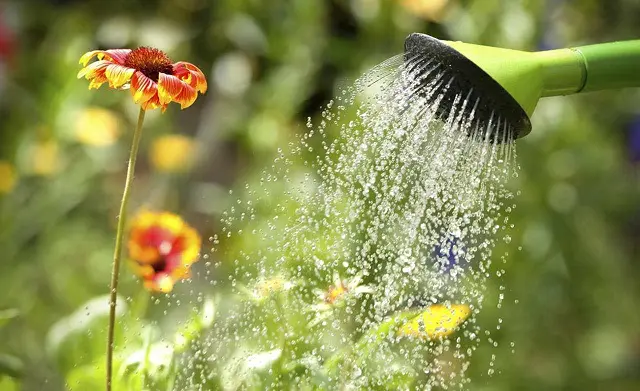 Cómo combatir el cambio climático desde el jardín