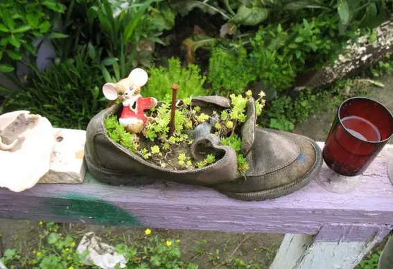 #7 Un zapato viejo