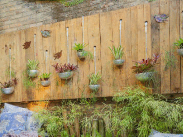 Diseño, creación y mantenimiento de un jardín ecológico