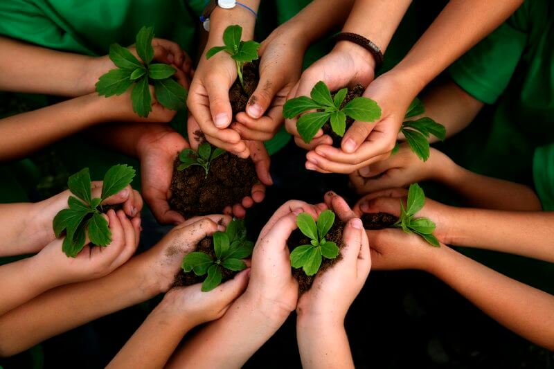 C mo Cooperar En El Cuidado Medioambiental BiodiSol
