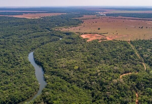 MAPE: Moratoria de la Soja Amazónica