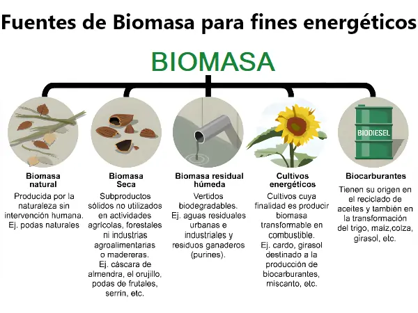 Origen y fuentes de biomasa para fines energéticos